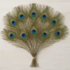Natural Peacock Feathers for Home Decor, Crafts & Floral Arrangements - Image 4
