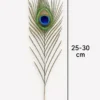 Natural Peacock Feathers for Home Decor, Crafts & Floral Arrangements - Image 6