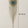 Natural Peacock Feathers for Home Decor, Crafts & Floral Arrangements - Image 7