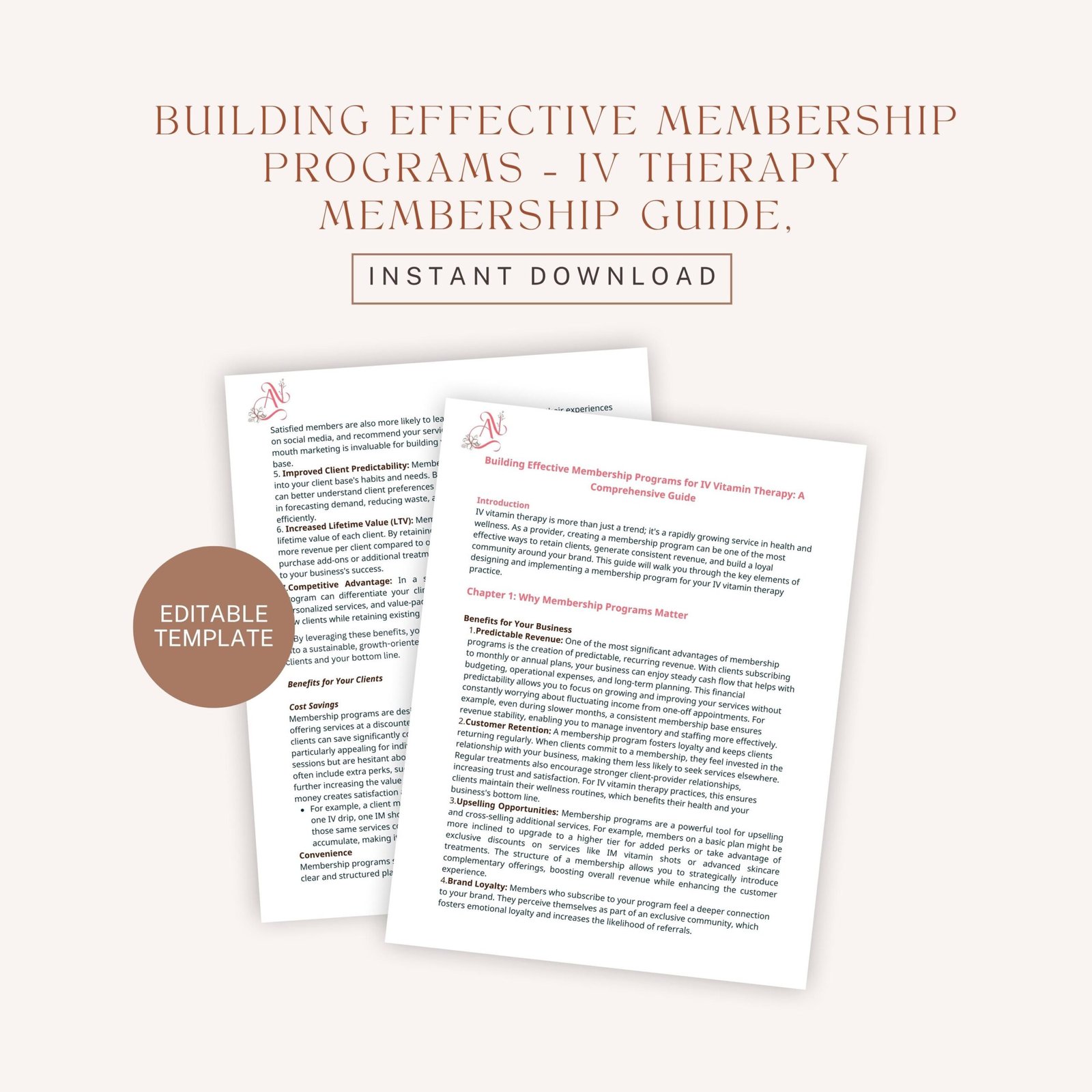 Building Effective Membership Programs – IV Therapy Membership Guide, Clinic Subscription Model, Wellness Business Strategy PDF - Image 2