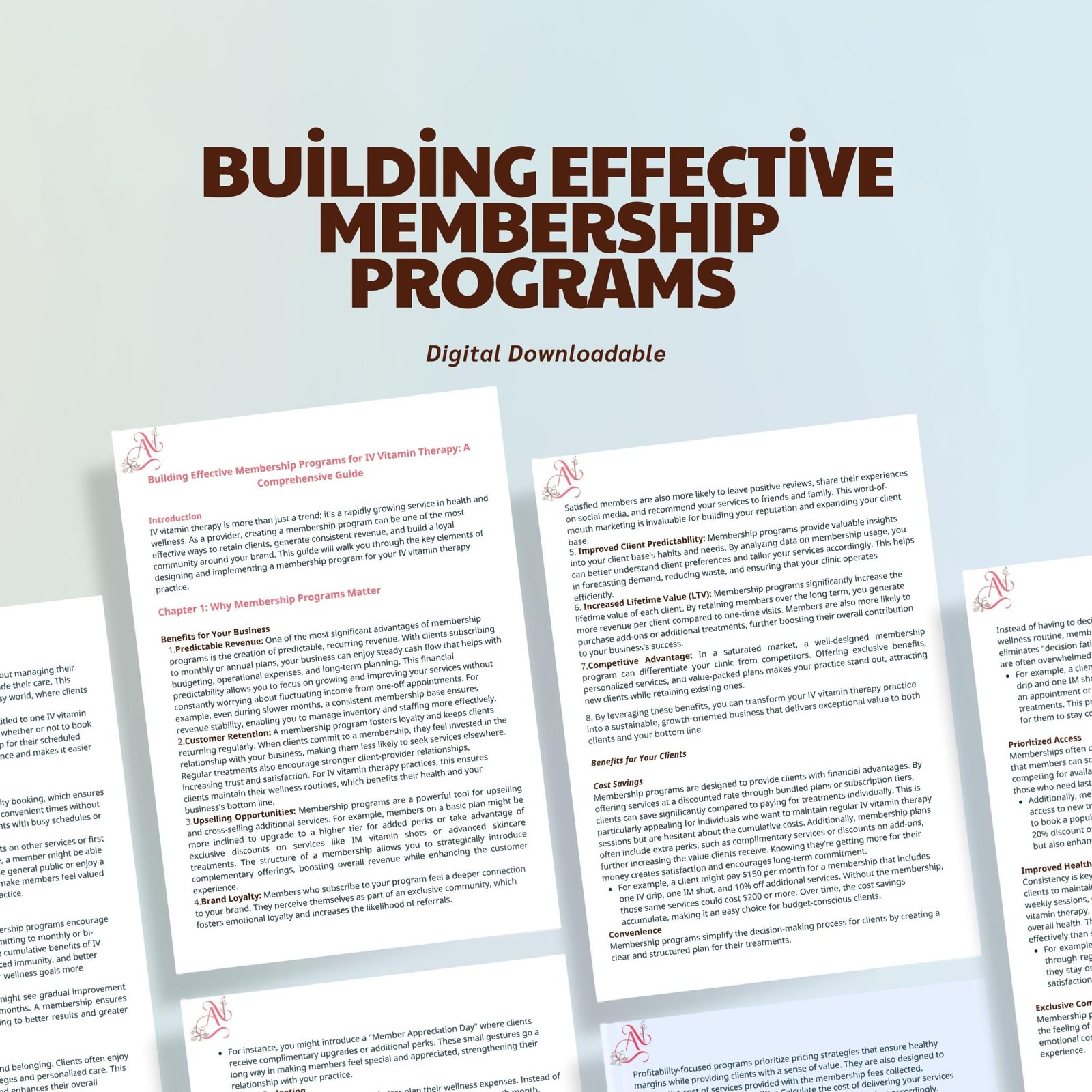 Building Effective Membership Programs – IV Therapy Membership Guide, Clinic Subscription Model, Wellness Business Strategy PDF - Image 4